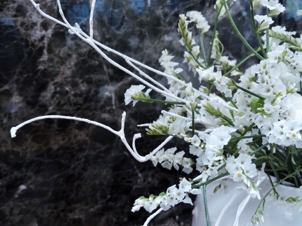 f:id:hitotsubogreen:20190108230330j:plain f:id:hitotsubogreen:20190108230330j:plain