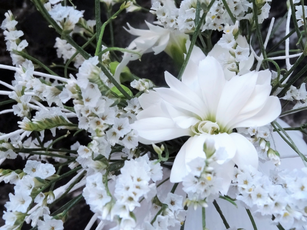 f:id:hitotsubogreen:20190108230436j:plain