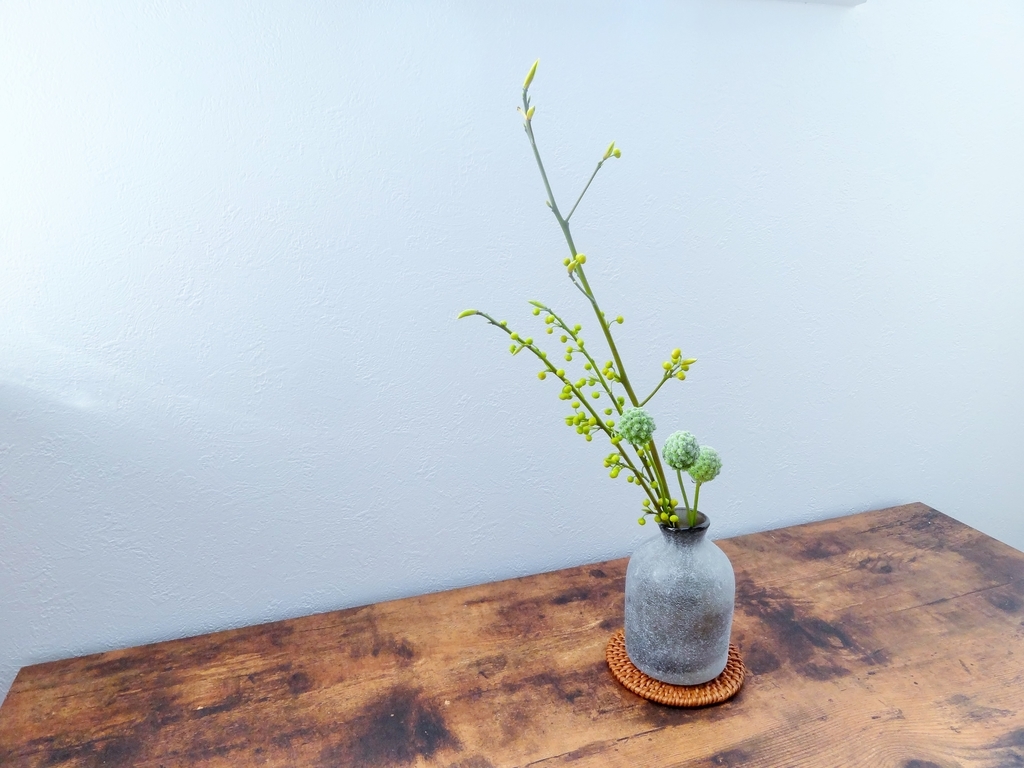 f:id:hitotsubogreen:20190119223022j:plain f:id:hitotsubogreen:20190119223022j:plain