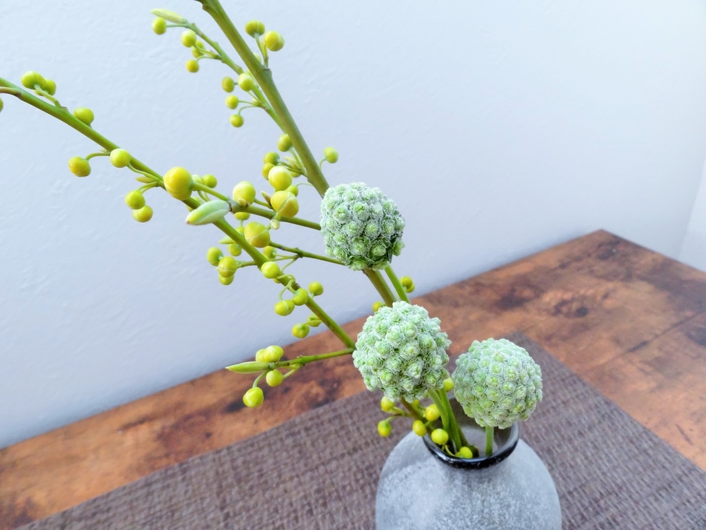 f:id:hitotsubogreen:20190119223107j:plain f:id:hitotsubogreen:20190119223107j:plain