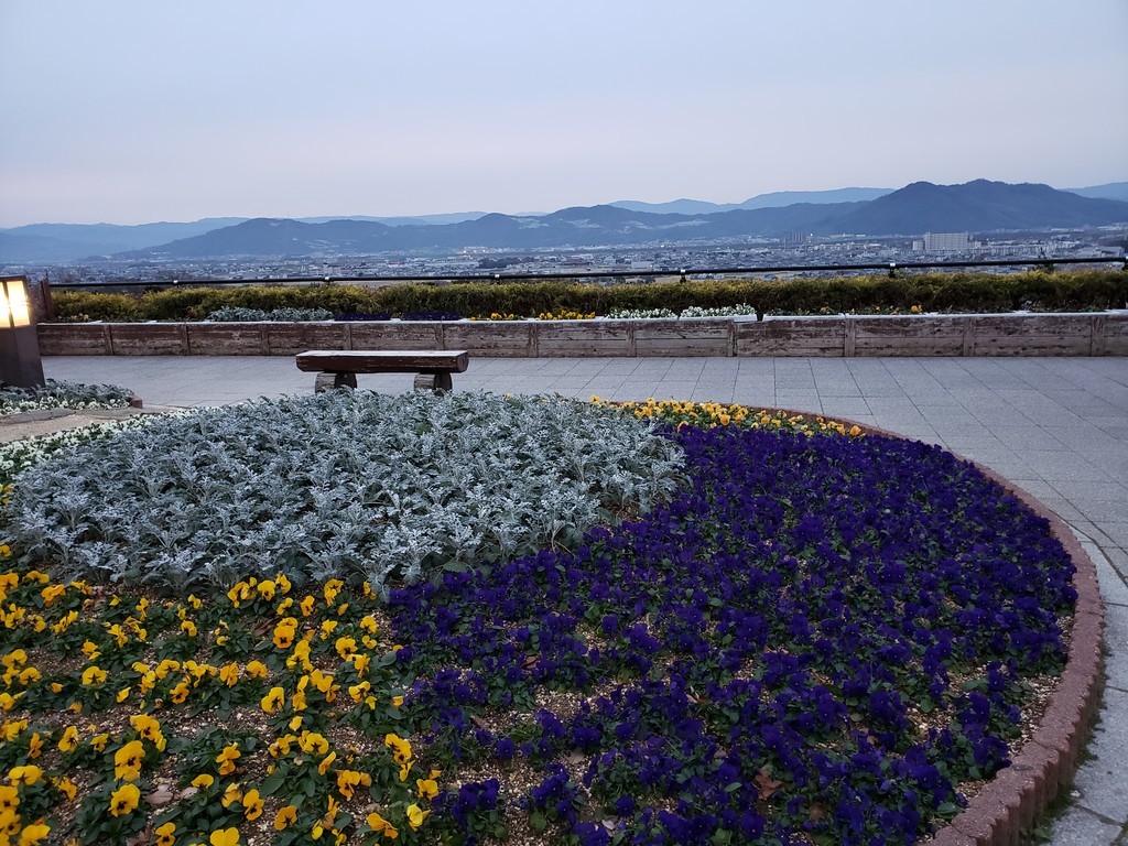 f:id:hitoxu:20190112071128j:plain f:id:hitoxu:20190112071128j:plain