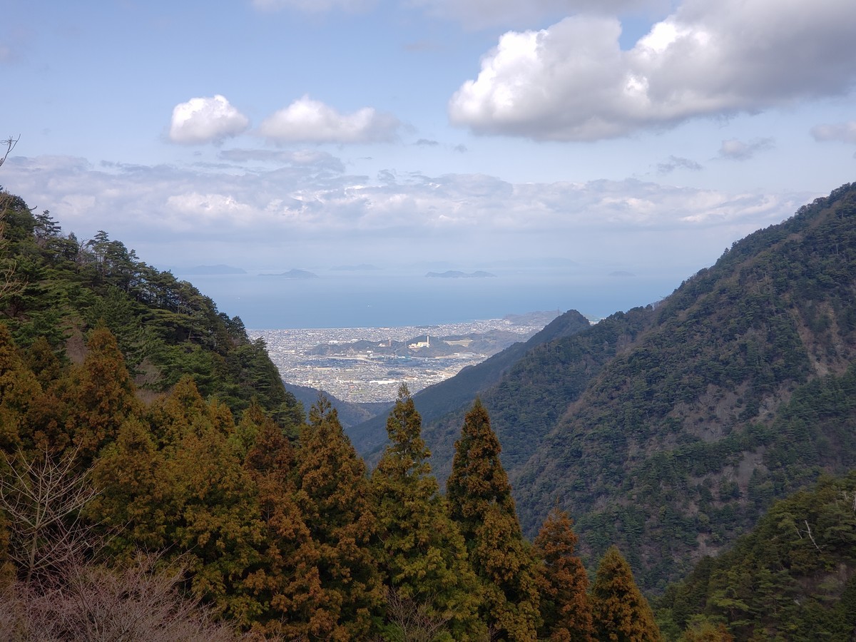 f:id:hitoxu:20190316132816j:plain f:id:hitoxu:20190316132816j:plain