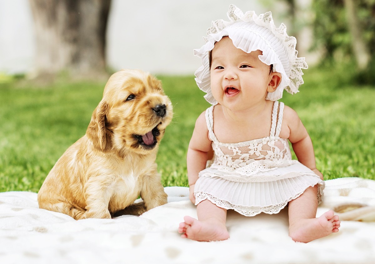 f:id:hitoxu:20190404060124j:plain f:id:hitoxu:20190404060124j:plain