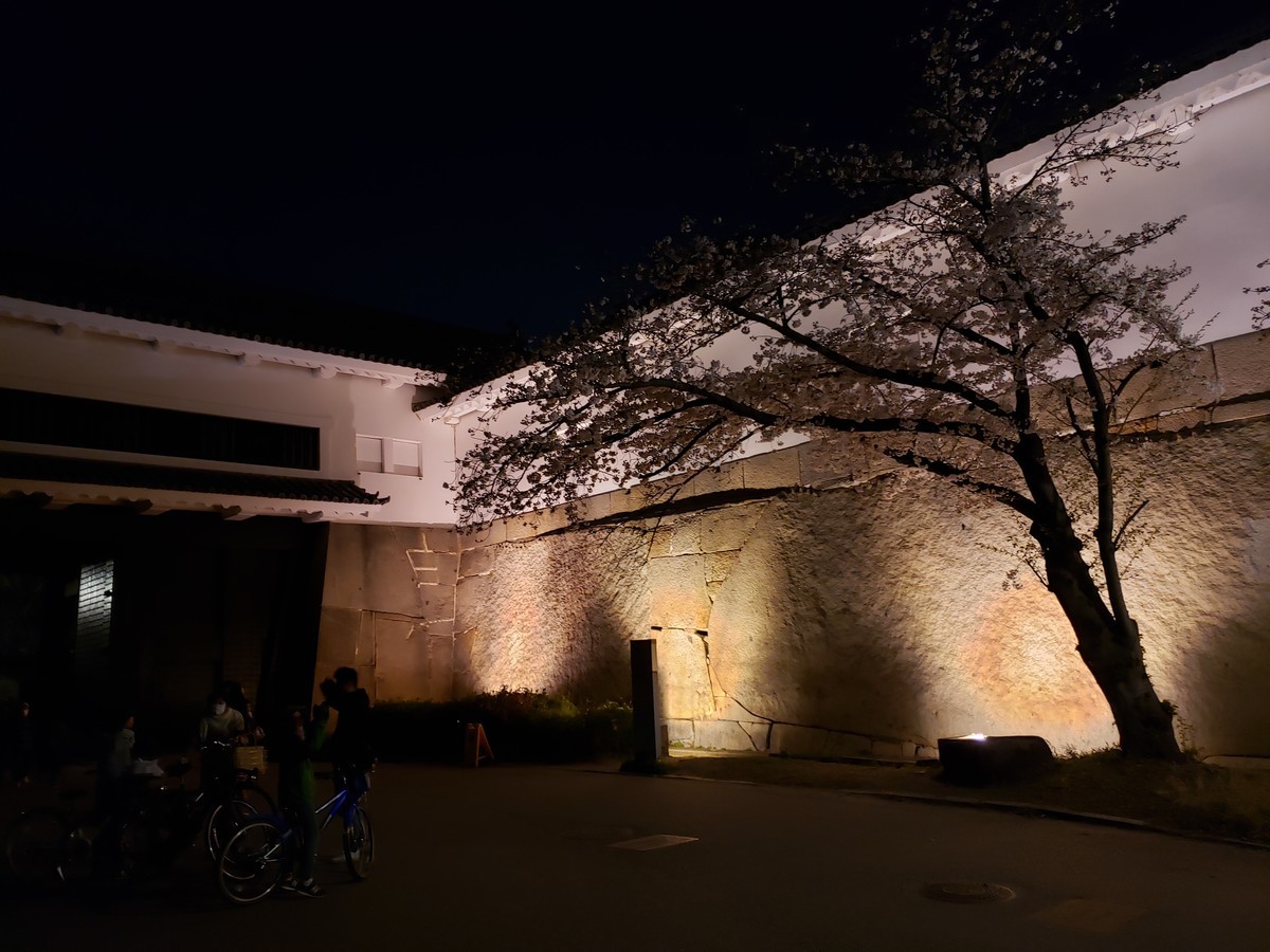 f:id:hitoxu:20190404195746j:plain f:id:hitoxu:20190404195746j:plain