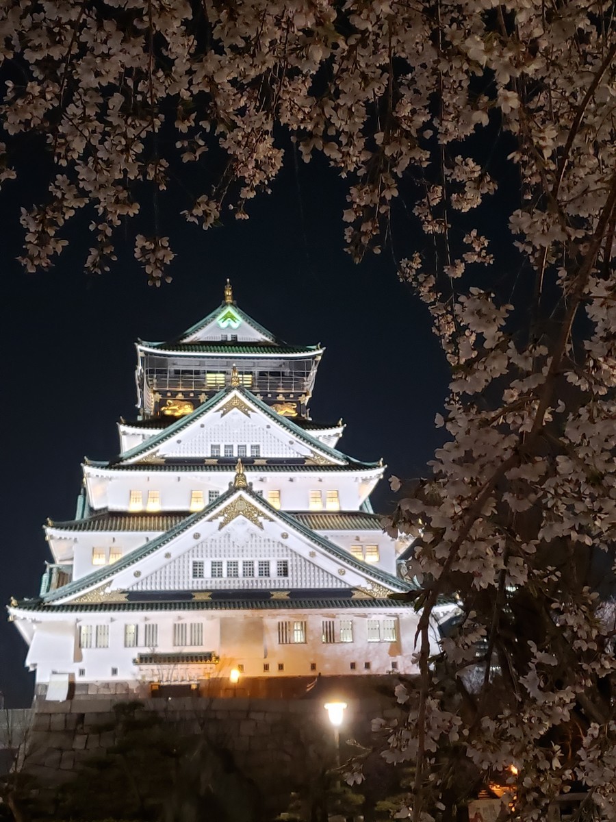 f:id:hitoxu:20190404200946j:plain f:id:hitoxu:20190404200946j:plain