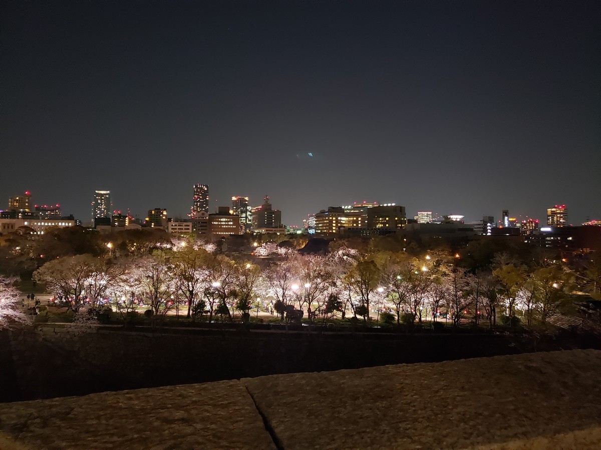 f:id:hitoxu:20190404201122j:plain f:id:hitoxu:20190404201122j:plain