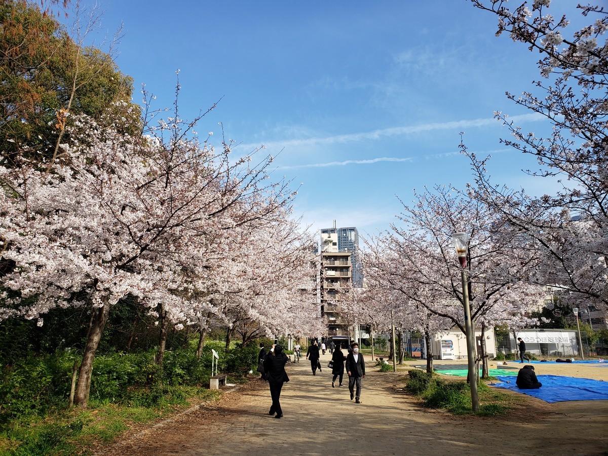 f:id:hitoxu:20190405080953j:plain f:id:hitoxu:20190405080953j:plain