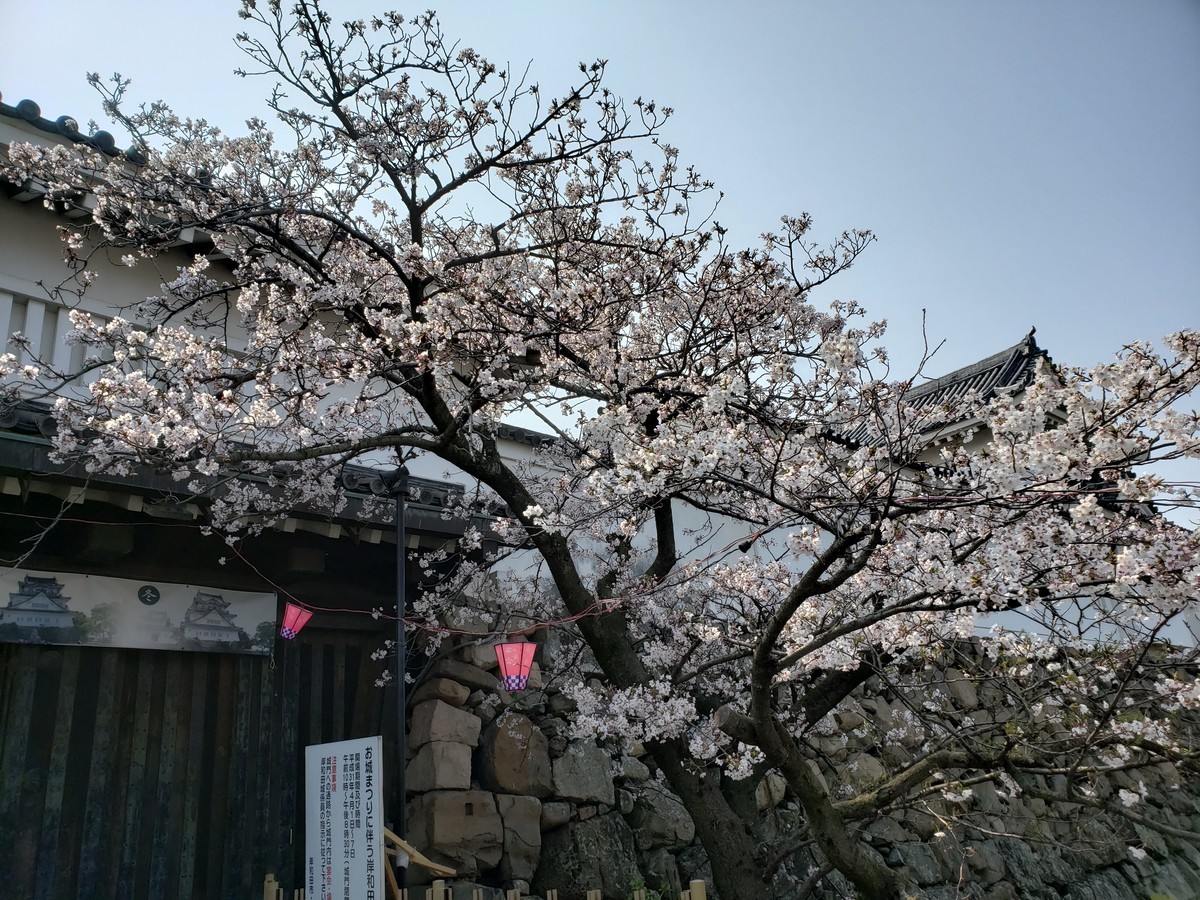 f:id:hitoxu:20190406100549j:plain f:id:hitoxu:20190406100549j:plain