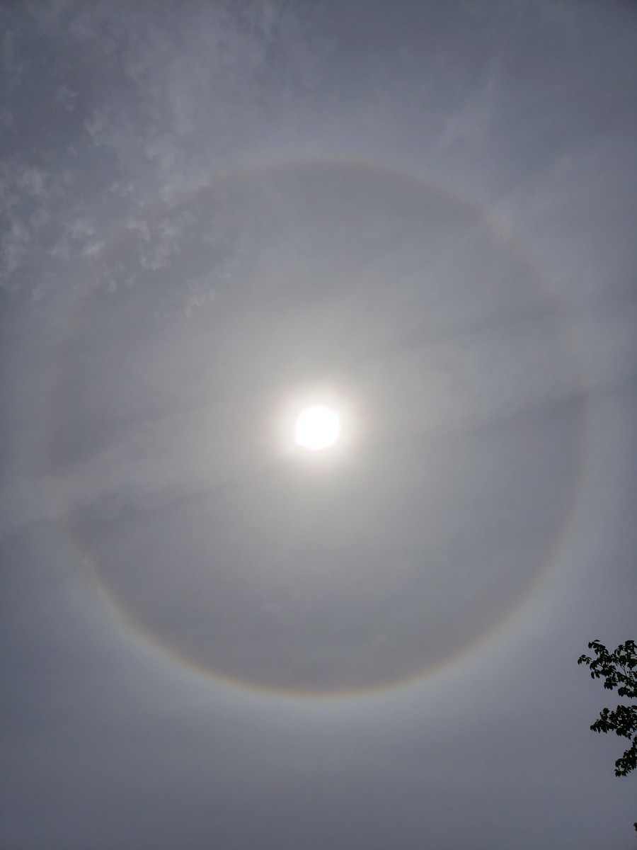 f:id:hitoxu:20190428104509j:plain f:id:hitoxu:20190428104509j:plain