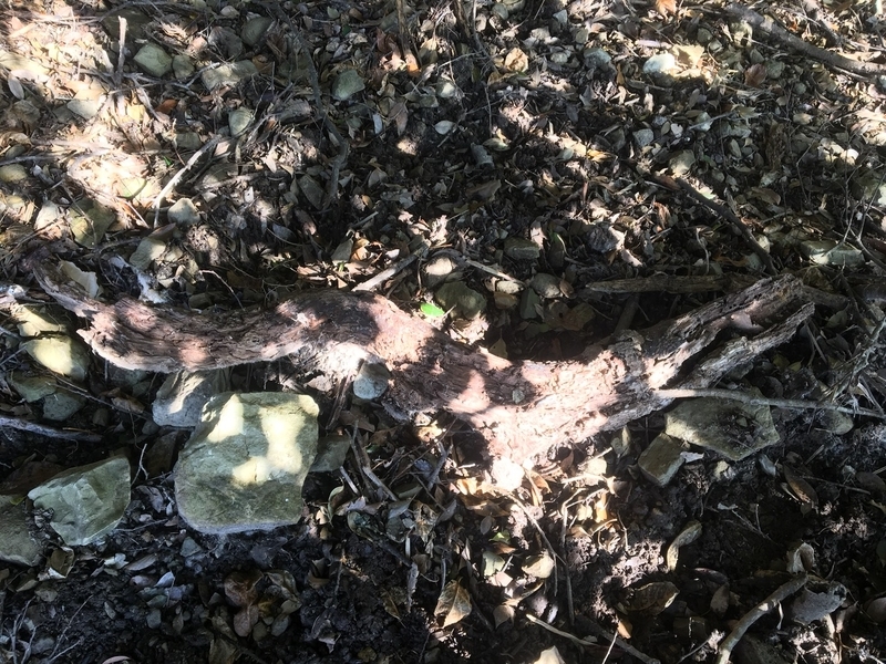 f:id:hitoyasumi06:20191130174343j:plain