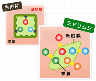 f:id:hitoyuki09290185:20170421175924p:plain