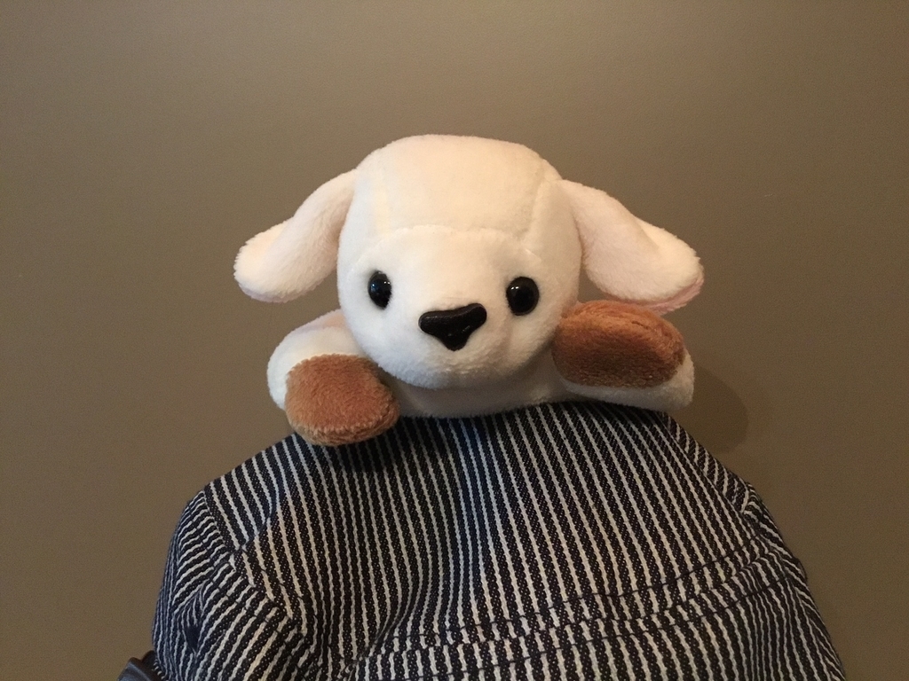 f:id:hitsuchan:20190213180106j:plain
