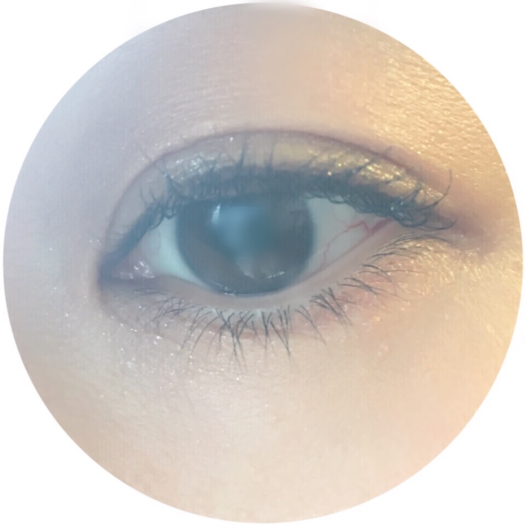 f:id:hitsucos:20161013151807j:image