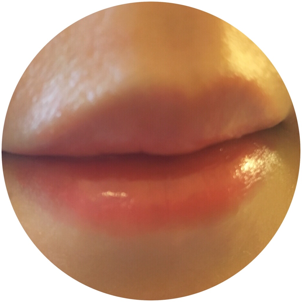 f:id:hitsucos:20161017151519j:image
