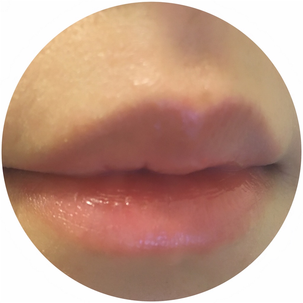 f:id:hitsucos:20161017152501j:image