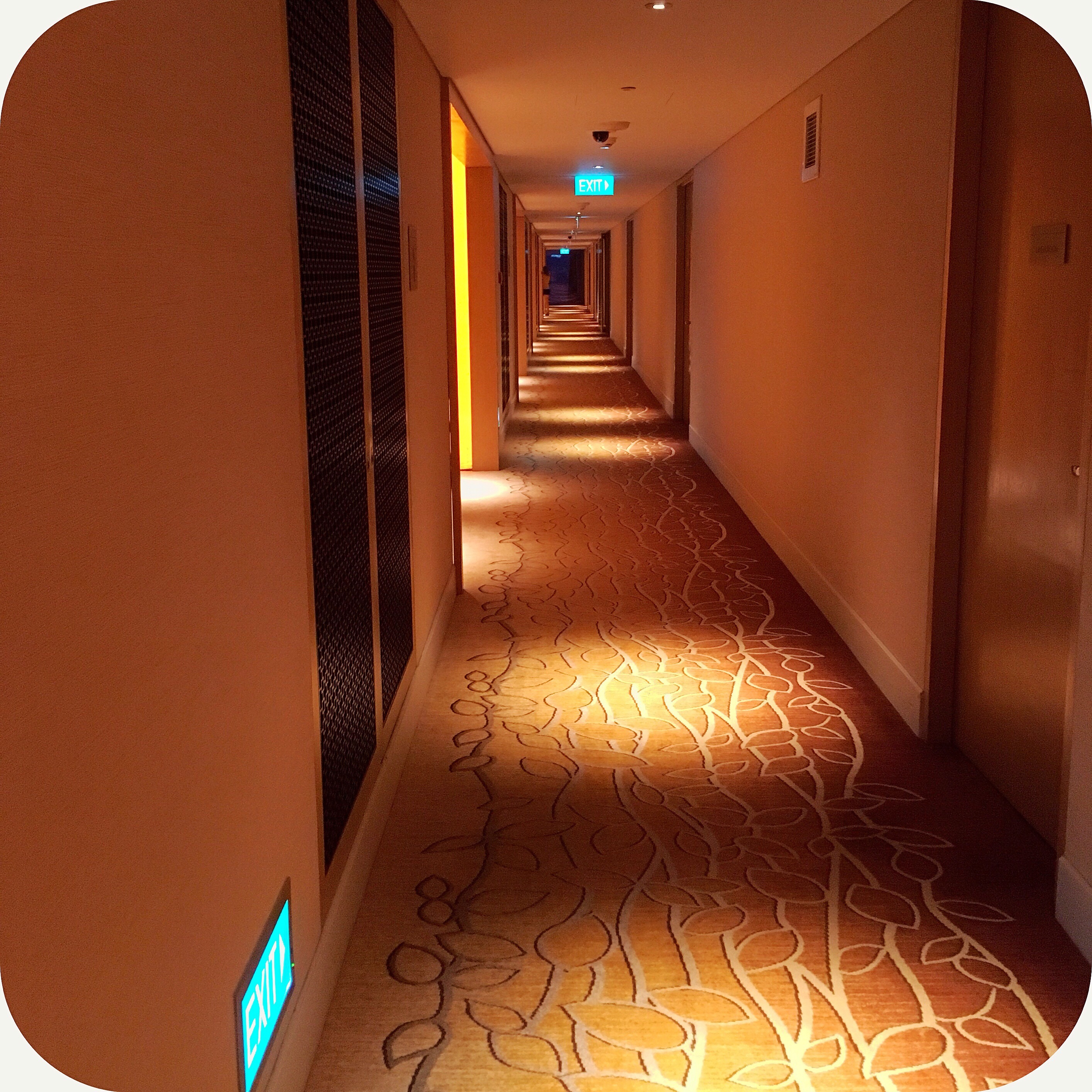 f:id:hitsucos:20180822064926j:image