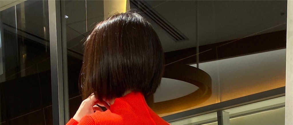 f:id:hitsucos:20200615174159j:plain f:id:hitsucos:20200615174159j:plain