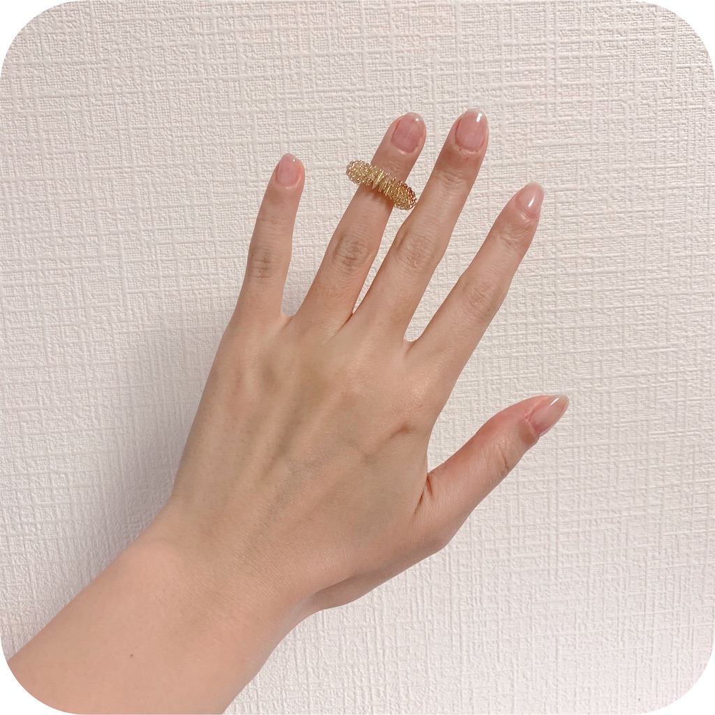f:id:hitsucos:20201211094602j:image