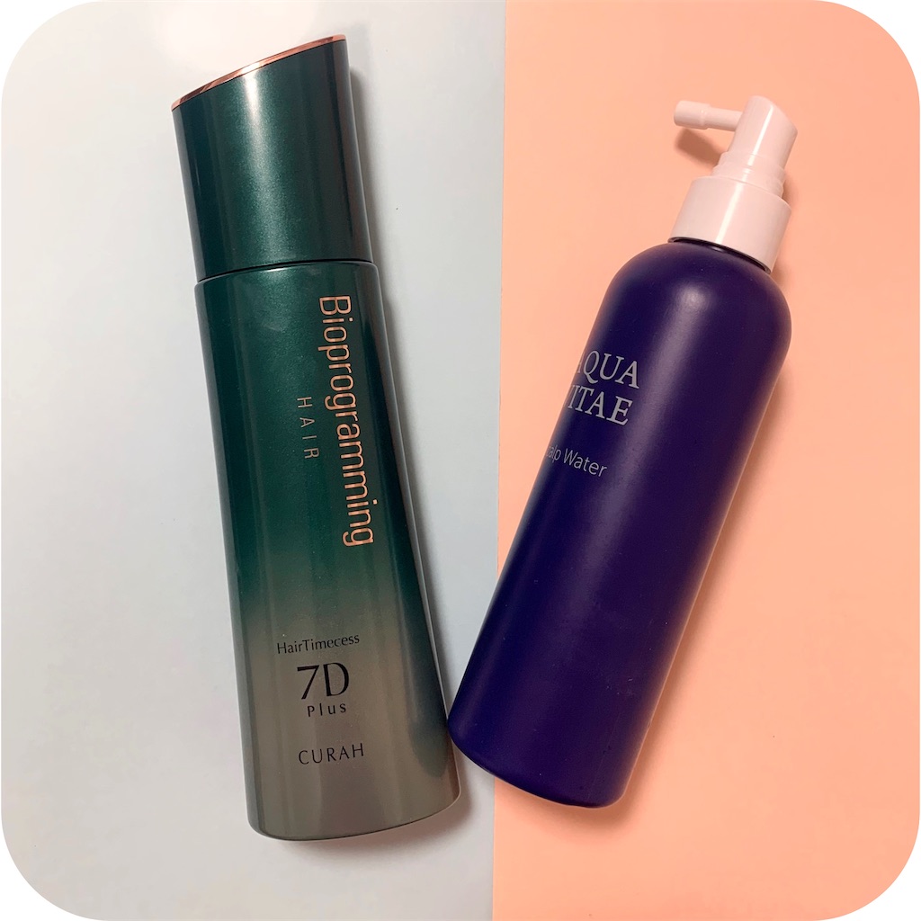 f:id:hitsucos:20201222180846j:plain