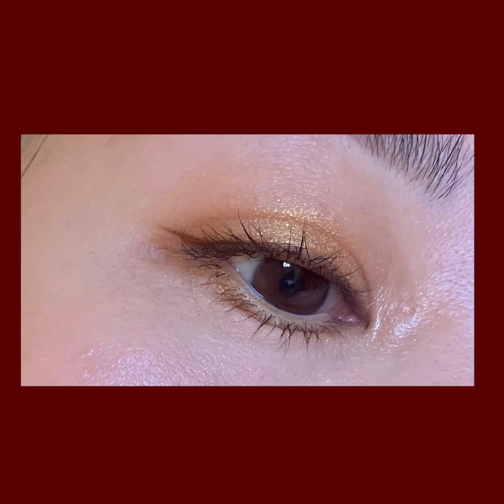f:id:hitsucos:20220103220532j:image