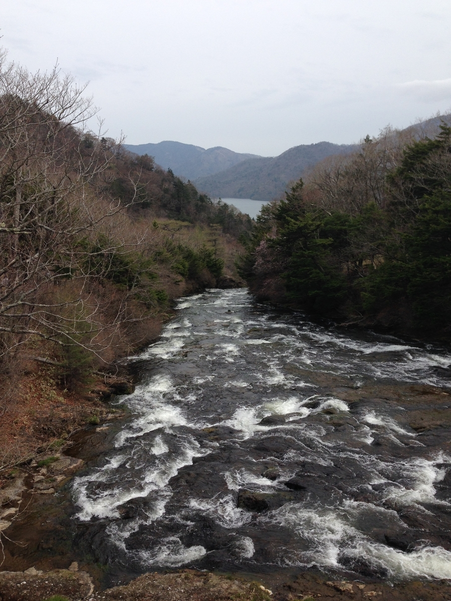 f:id:hitsuji-log:20190824212533j:plain