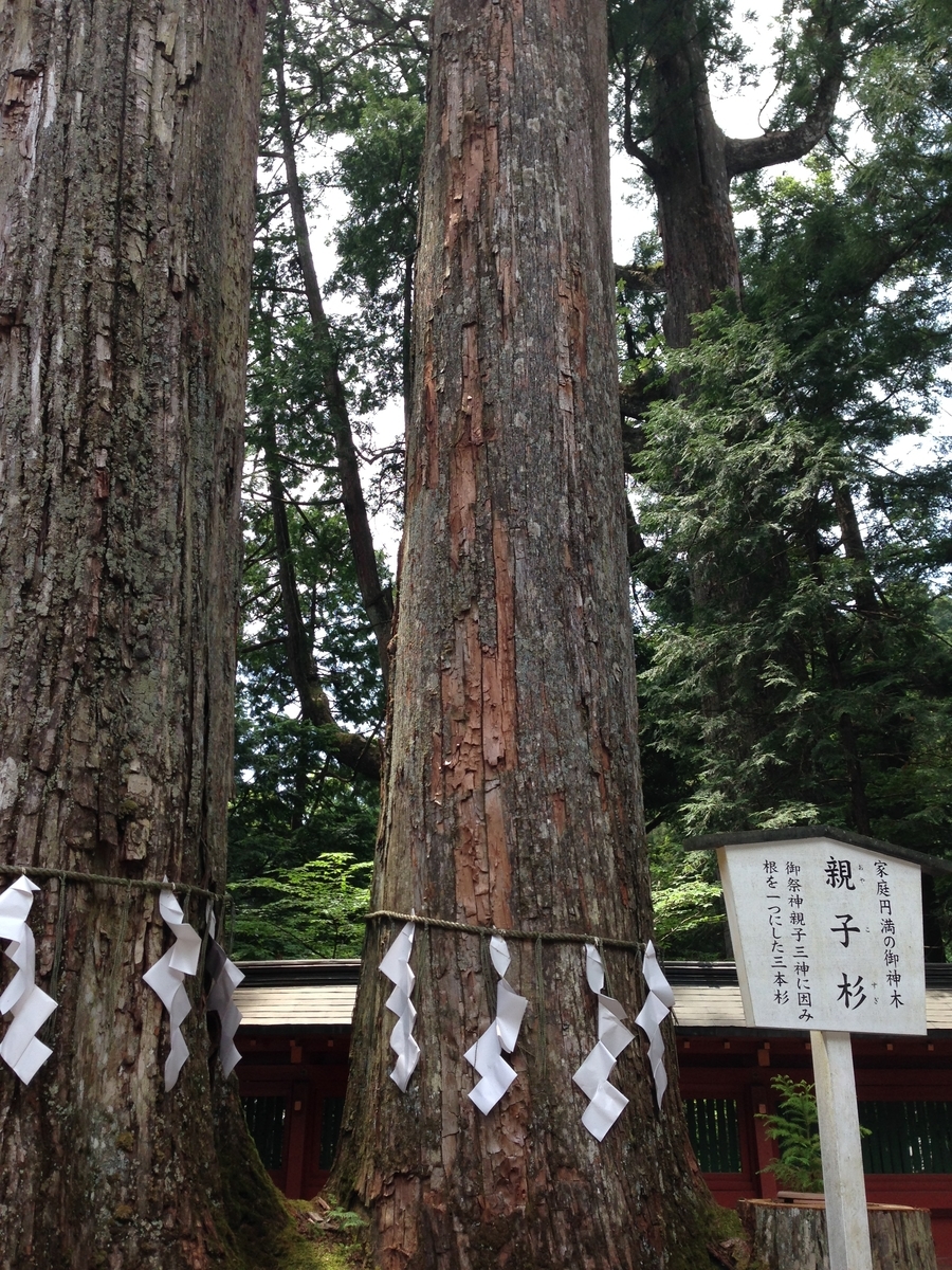 f:id:hitsuji-log:20190828194259j:plain