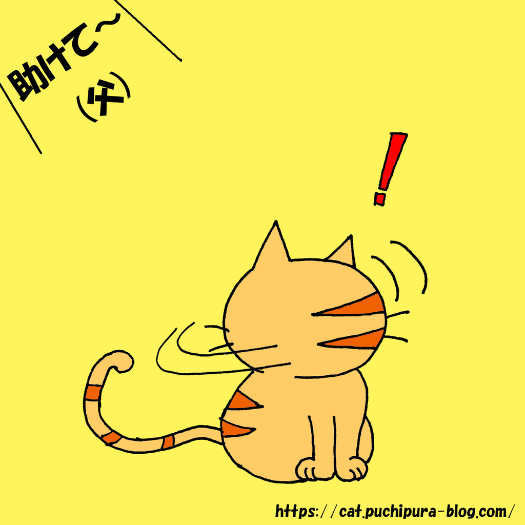 f:id:hitsuji-puchi:20190123111213j:plain f:id:hitsuji-puchi:20190123111213j:plain