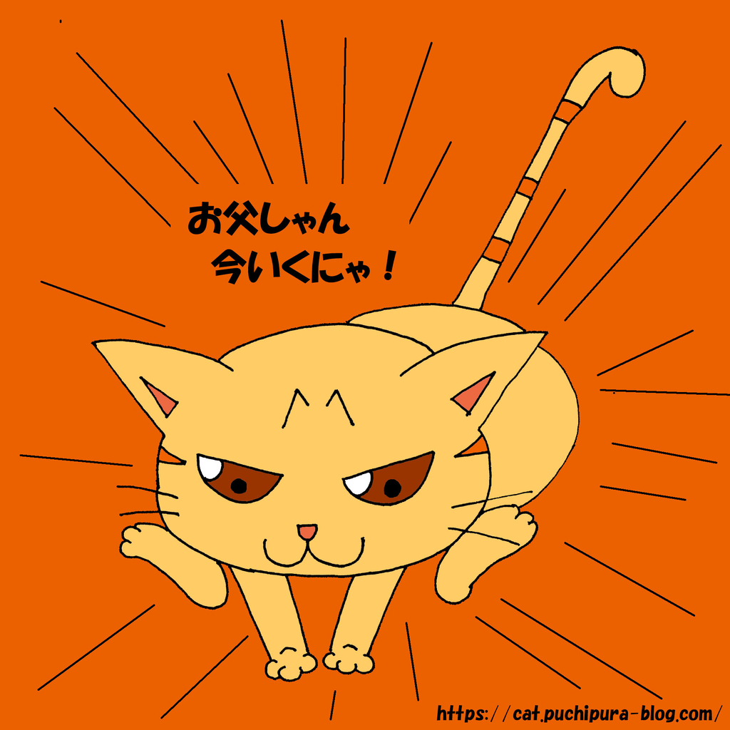 f:id:hitsuji-puchi:20190123111231j:plain f:id:hitsuji-puchi:20190123111231j:plain