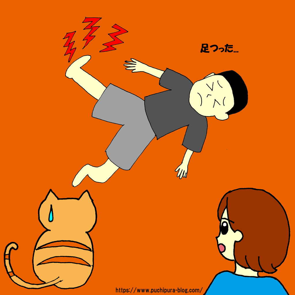 f:id:hitsuji-puchi:20190123111350j:plain f:id:hitsuji-puchi:20190123111350j:plain