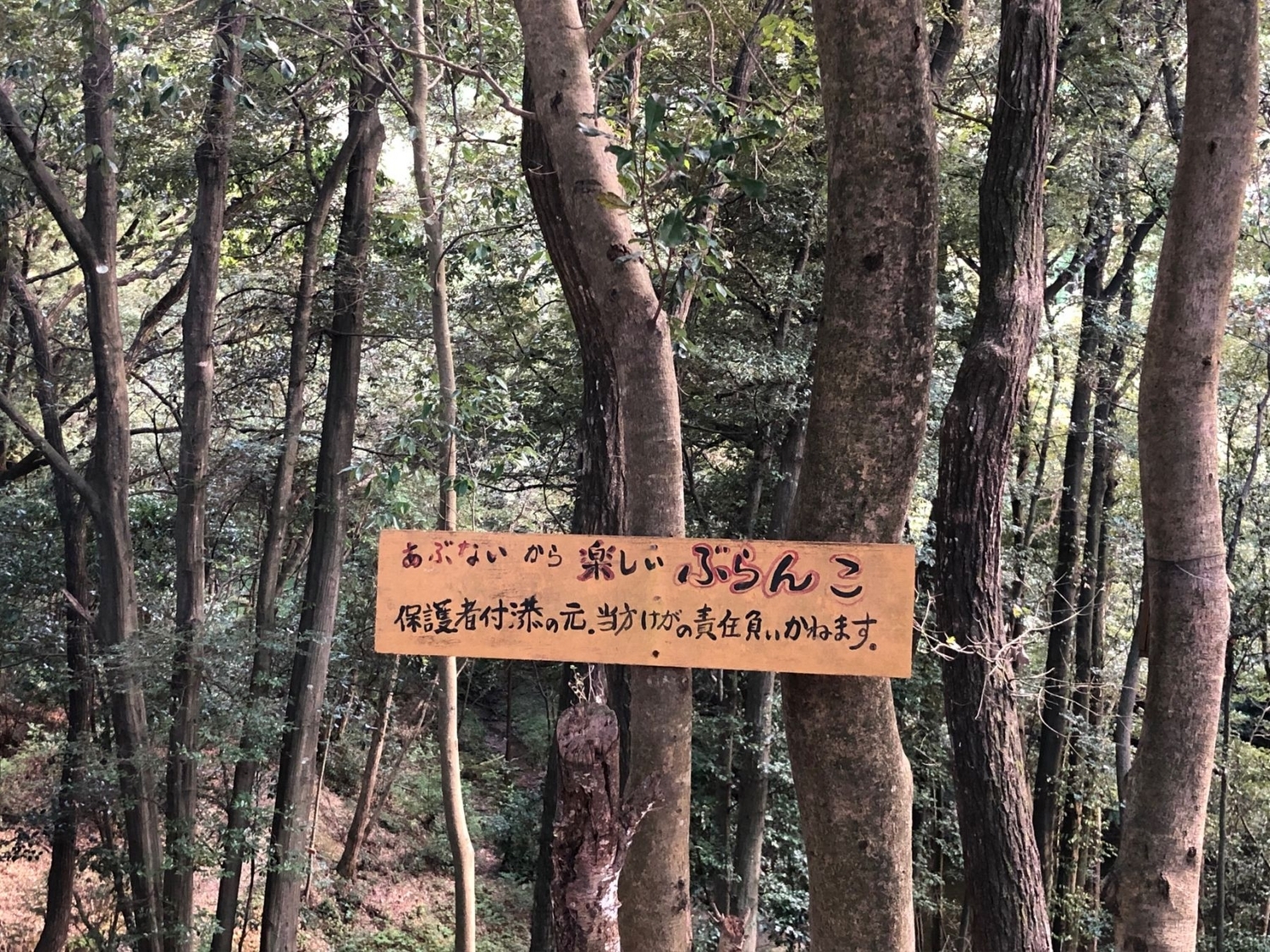 林の中の看板
