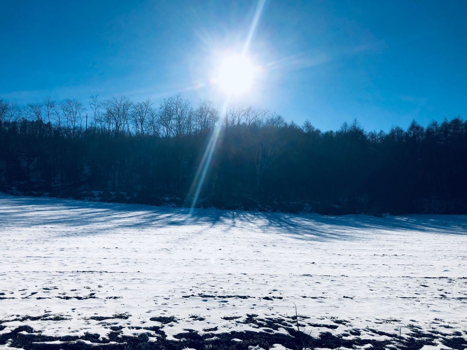 雪と太陽