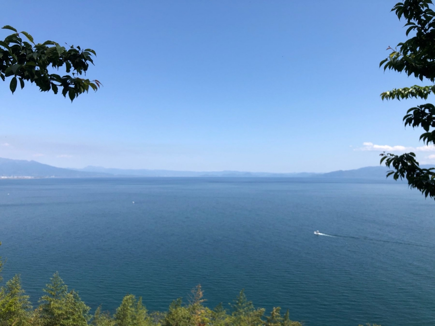 駿河湾