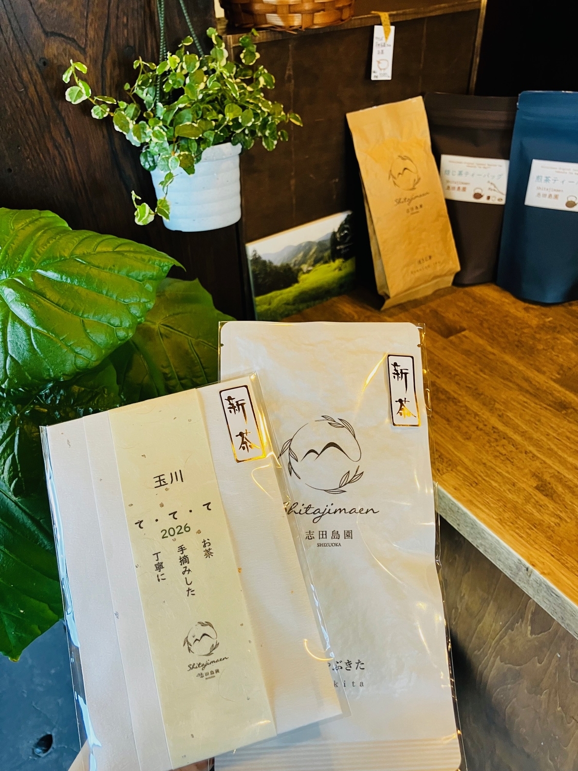 2026年新茶