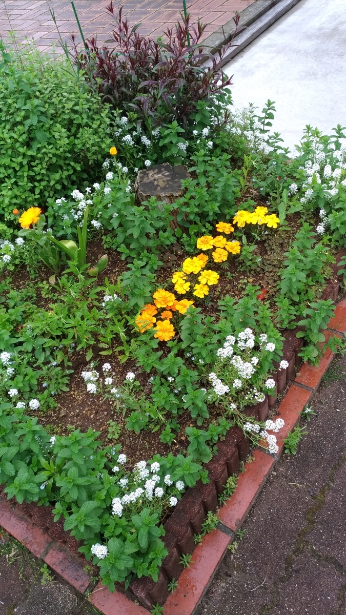 f:id:hitsujidash:20200521170353j:plain f:id:hitsujidash:20200521170353j:plain