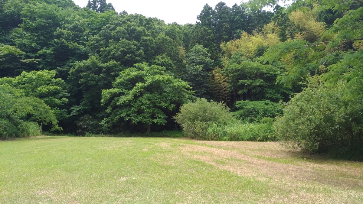 f:id:hitsujidash:20200625163734j:plain f:id:hitsujidash:20200625163734j:plain