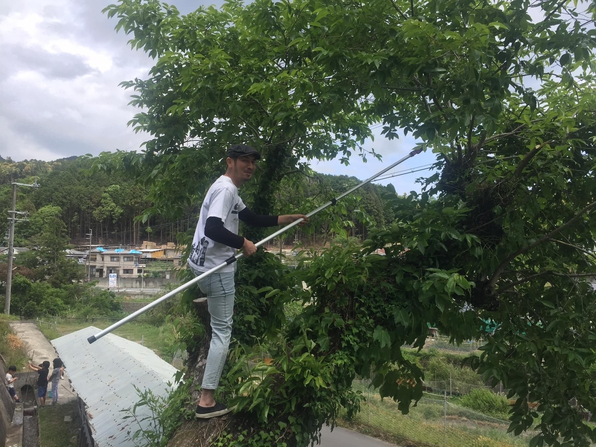 f:id:hitsujikai2010:20190523121925j:plain f:id:hitsujikai2010:20190523121925j:plain