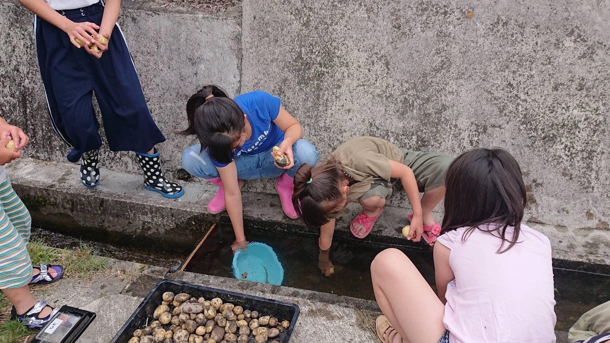 f:id:hitsujikai2010:20190708030450j:plain f:id:hitsujikai2010:20190708030450j:plain