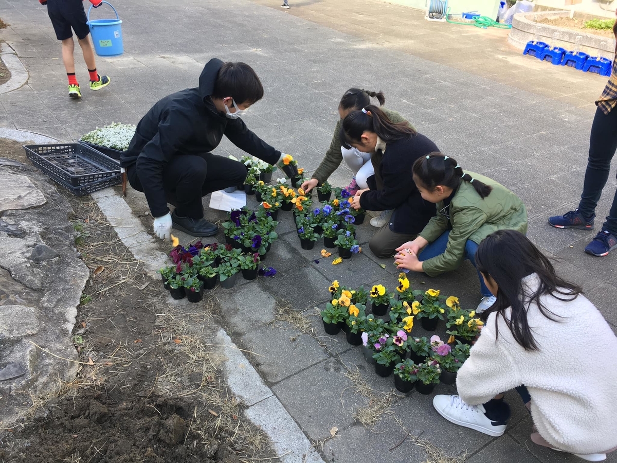 f:id:hitsujikai2010:20200206234214j:plain f:id:hitsujikai2010:20200206234214j:plain