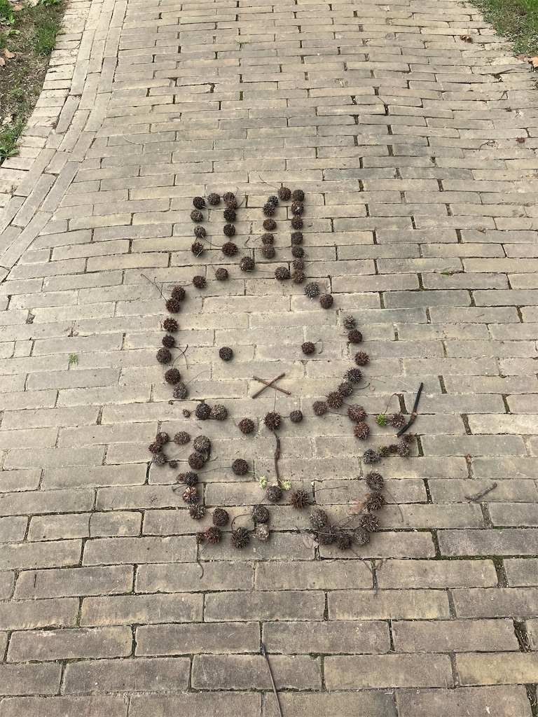 f:id:hitsujinoJ:20230614112424j:image f:id:hitsujinoJ:20230614112424j:image