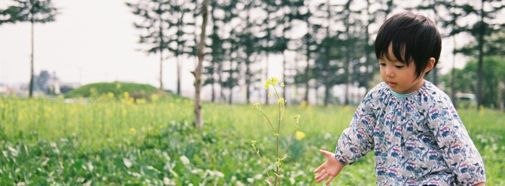 f:id:hitsujinoikuji:20180521100849j:plain f:id:hitsujinoikuji:20180521100849j:plain