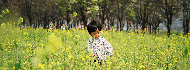 f:id:hitsujinoikuji:20180521101327j:plain f:id:hitsujinoikuji:20180521101327j:plain