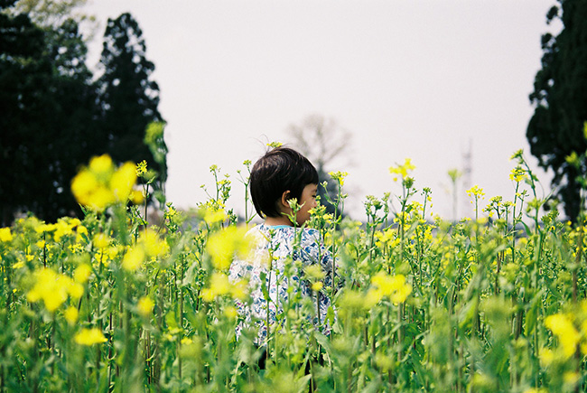 f:id:hitsujinoikuji:20180521101426j:plain f:id:hitsujinoikuji:20180521101426j:plain