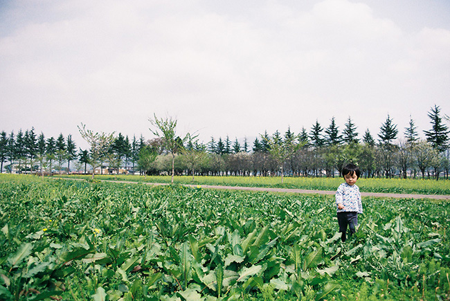 f:id:hitsujinoikuji:20180521101436j:plain f:id:hitsujinoikuji:20180521101436j:plain