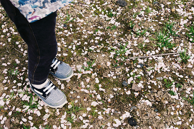 f:id:hitsujinoikuji:20180521101450j:plain f:id:hitsujinoikuji:20180521101450j:plain