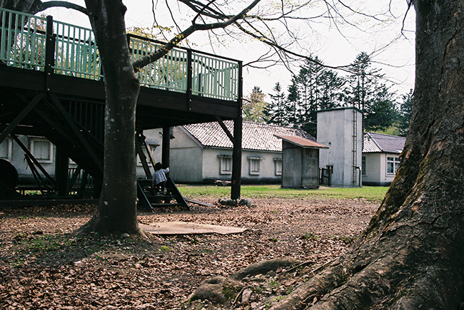 f:id:hitsujinoikuji:20180521101506j:plain f:id:hitsujinoikuji:20180521101506j:plain