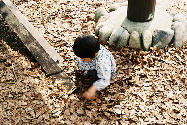 f:id:hitsujinoikuji:20180521101533j:plain f:id:hitsujinoikuji:20180521101533j:plain