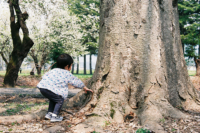 f:id:hitsujinoikuji:20180521101555j:plain f:id:hitsujinoikuji:20180521101555j:plain