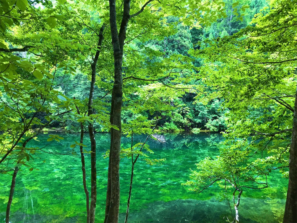 f:id:hitsujinomeeta2:20191027054709j:image