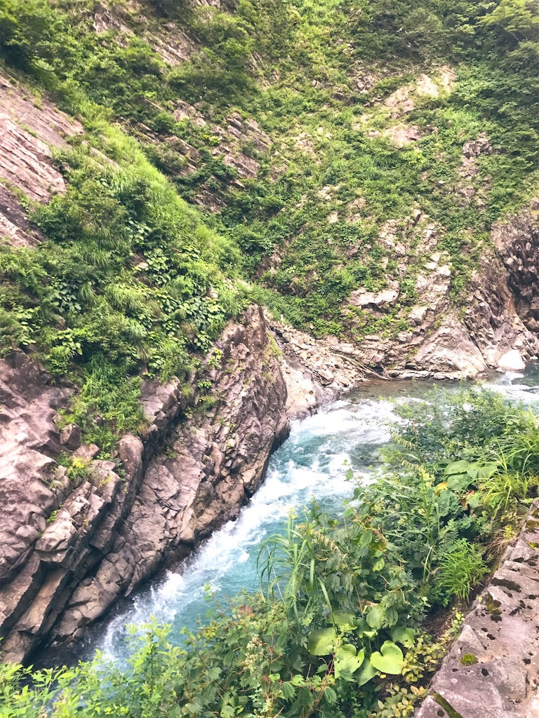 f:id:hitsujinomeeta2:20191029123155j:image