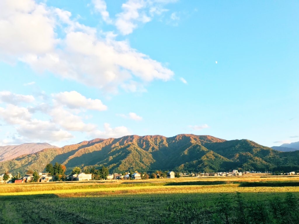 f:id:hitsujinomeeta2:20191201220638j:image f:id:hitsujinomeeta2:20191201220638j:image